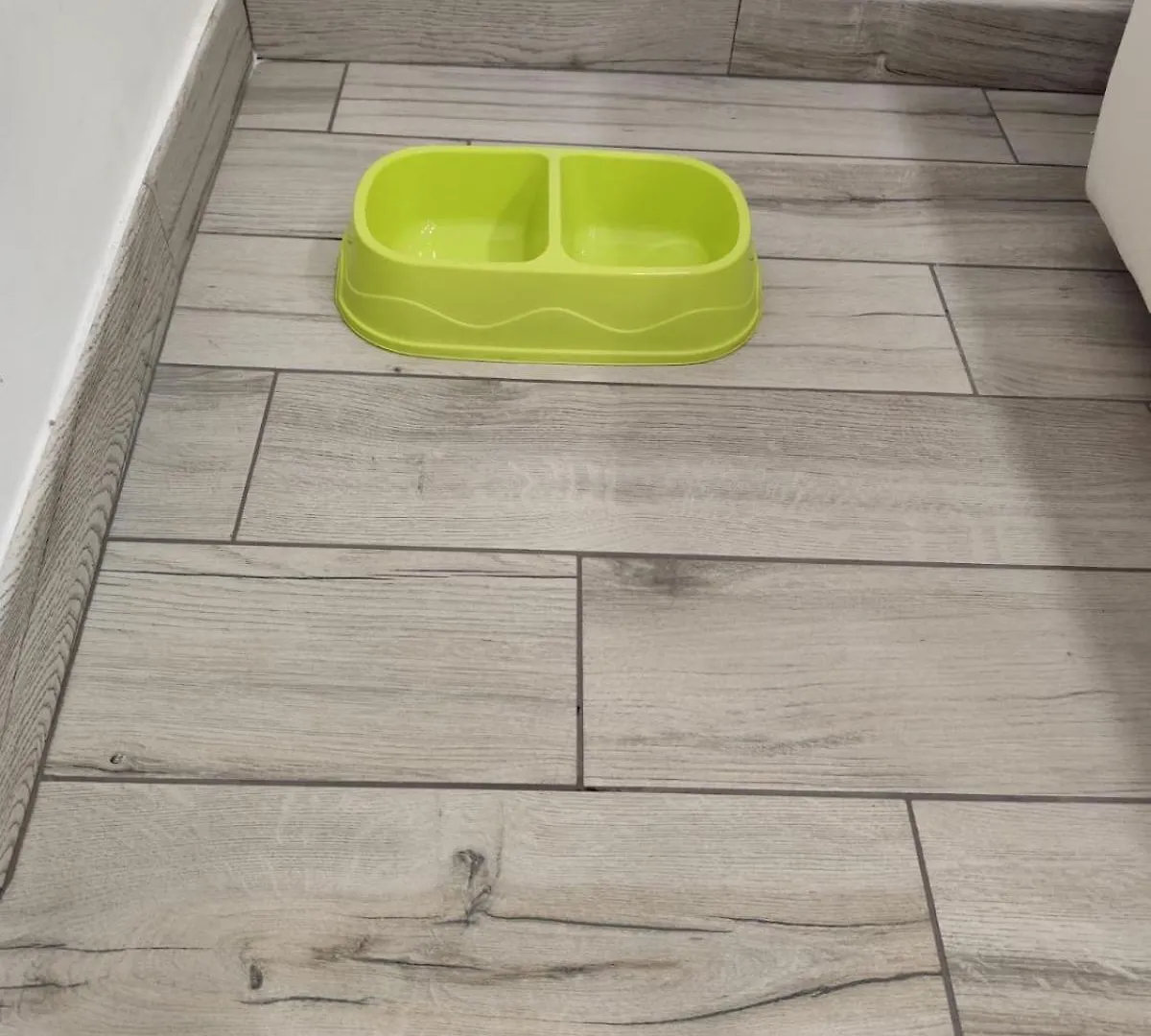 Domus Re Ferdinando Apartment Naples